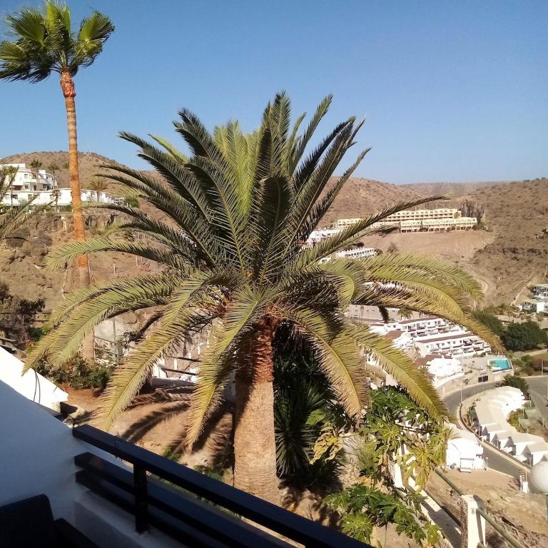 Ruhige Oase im Sonnenparadies - Apartamento de 1 dormitorio - 23