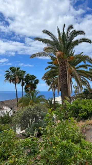 Ruhige Oase im Sonnenparadies - Apartamento de 1 dormitorio - 63
