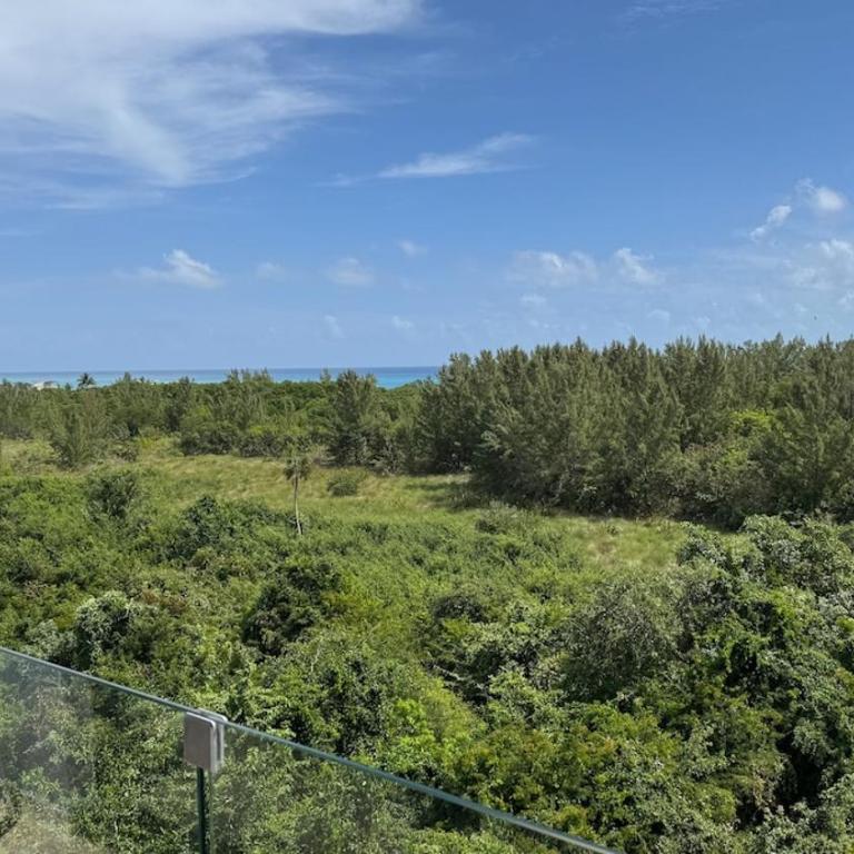 Romantic Ocean View 1BR,Fast WiFi & 2 min to Beach - Apartamento de 1 dormitorio - 21