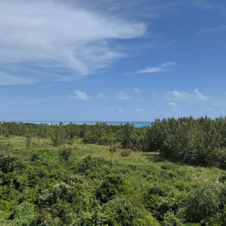 Romantic Ocean View 1BR,Fast WiFi & 2 min to Beach - Apartamento de 1 dormitorio - 49