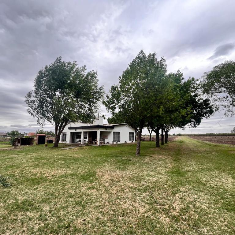 Don Manuel - One-Bedroom House - 10