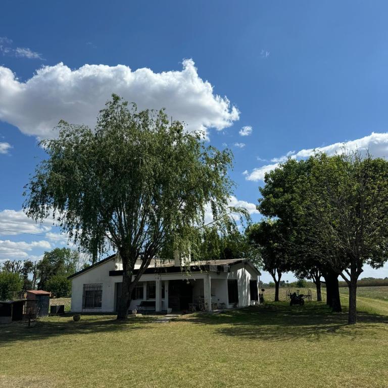Don Manuel - One-Bedroom House - 21