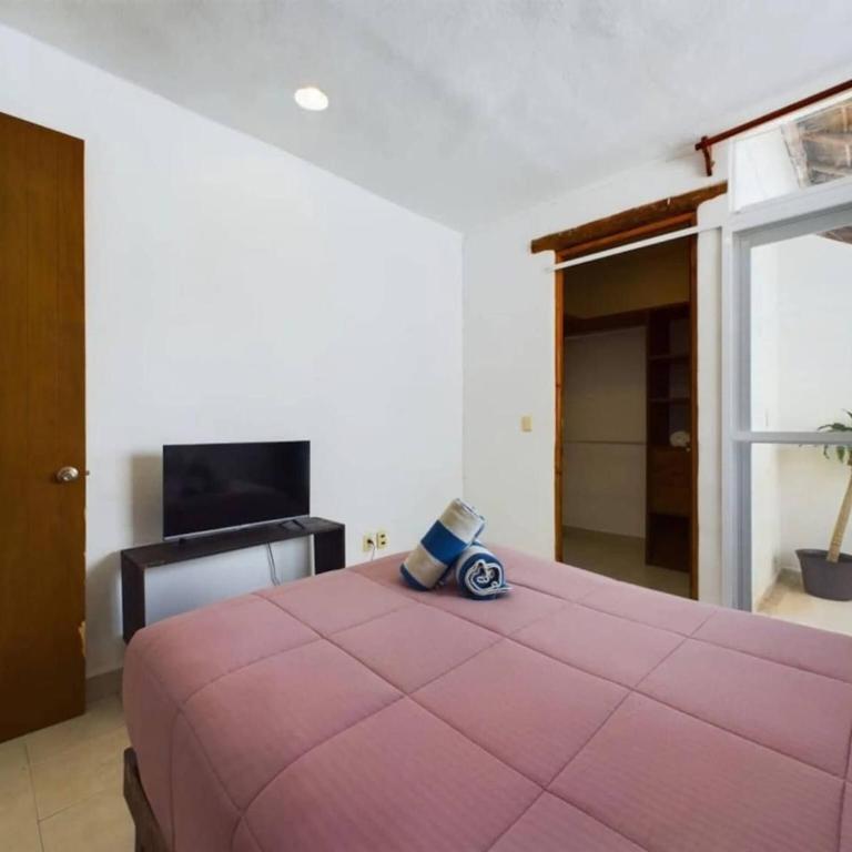 Chic 1BR with Pool Parking close to ADO - Apartment - 11