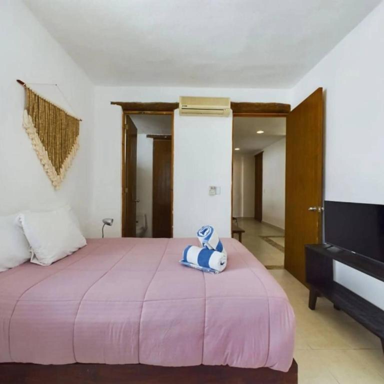 Chic 1BR with Pool Parking close to ADO - Apartment - 12