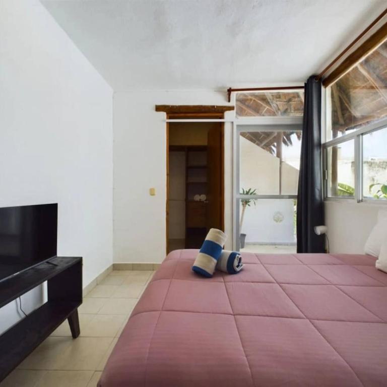 Chic 1BR with Pool Parking close to ADO - Apartment - 15