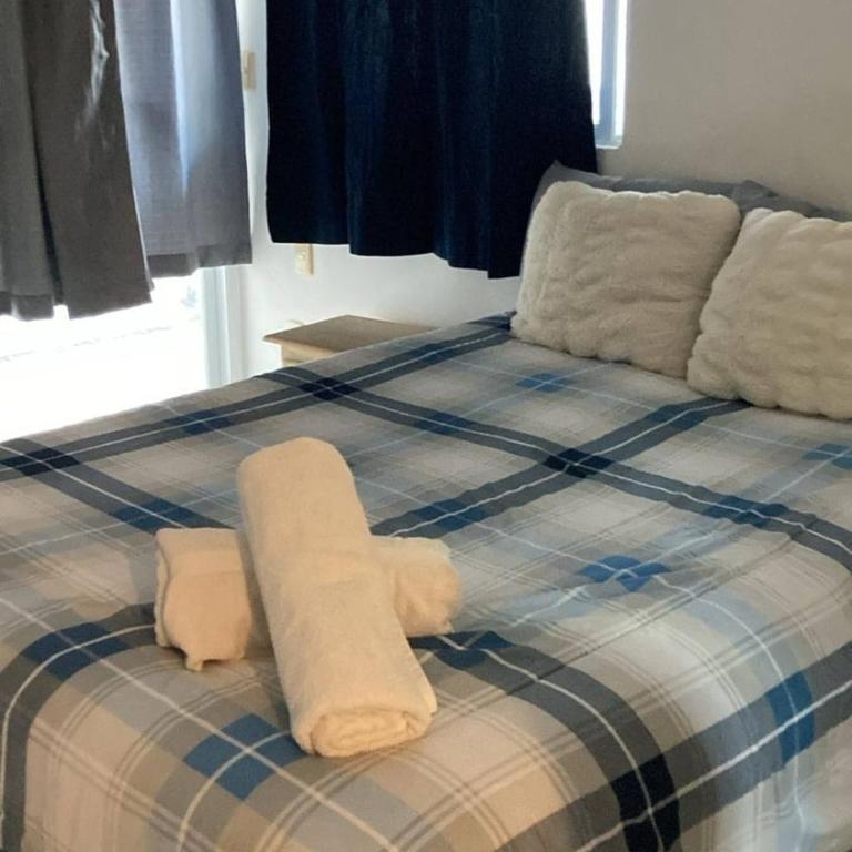 Chic 1BR with Pool Parking close to ADO - Apartment - 19