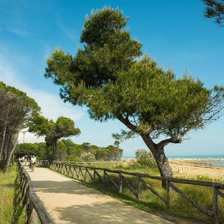 Bilocale ristrutturato a 2 passi dal mare - Appartamento con 1 Camera da Letto - 15