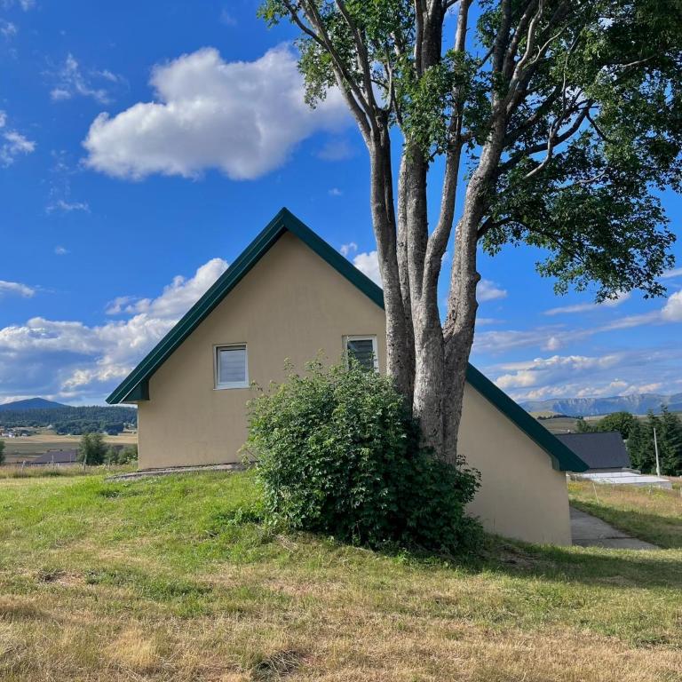 Golden Wood House - Two-Bedroom House - 5