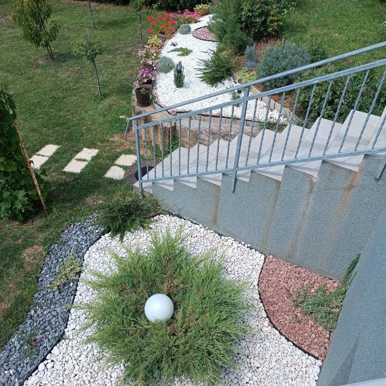 Bella vista Šumarice - One-Bedroom Apartment - 2