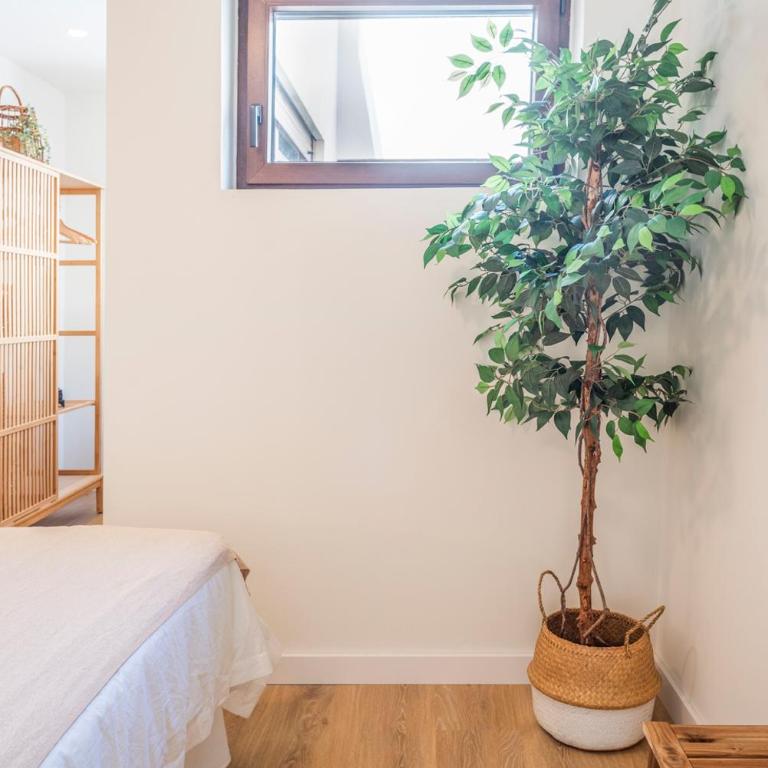 Céntrico apartamento con piscina - Apartamento de 1 dormitorio - 15