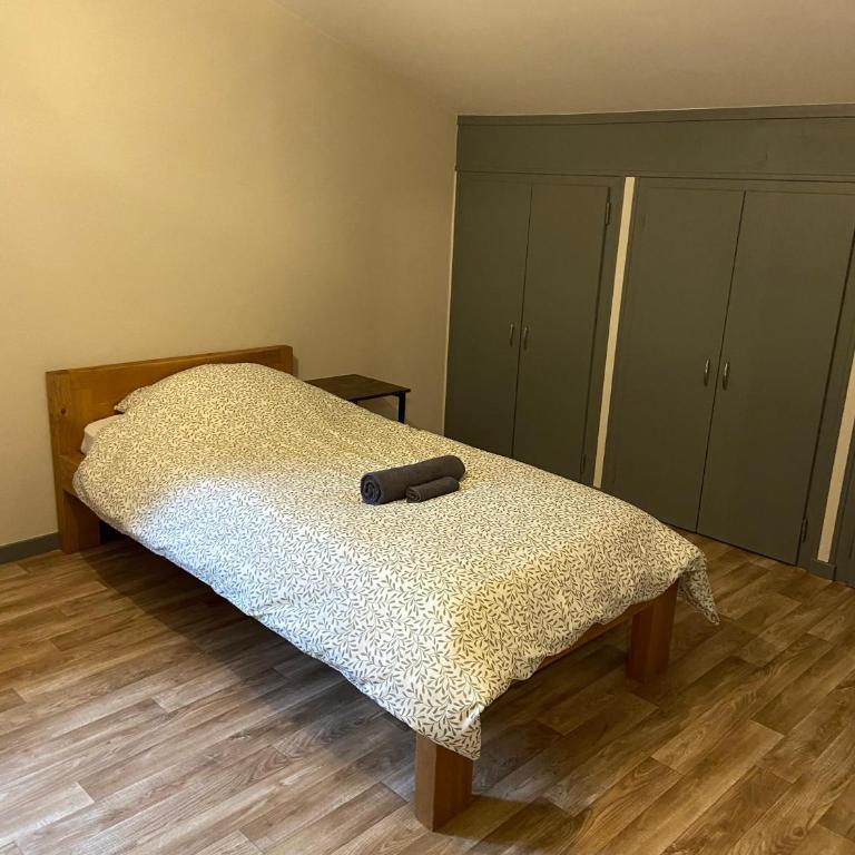 Gîte de charme dans la vallée du Borne au cœur des Alpes - Chambre Lits Jumeaux avec Salle de Bains Commune - 1