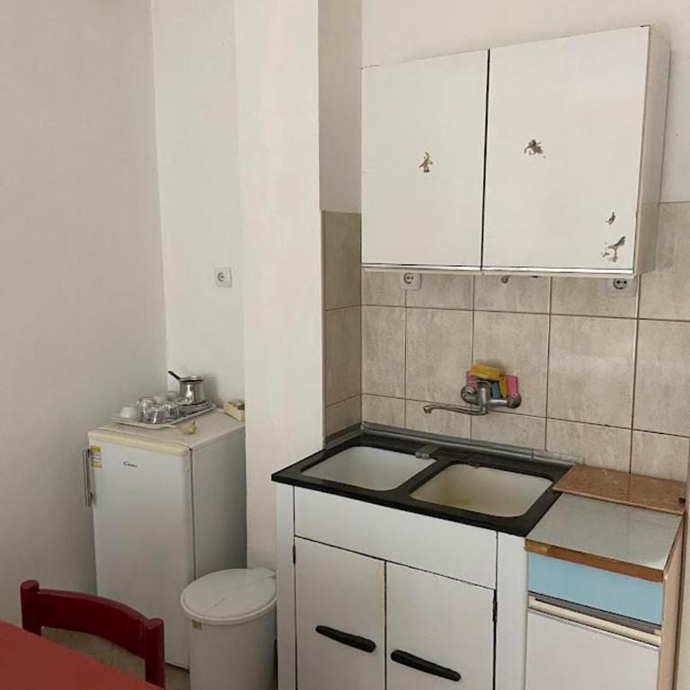 Vila Danica - Apartman sa 1 Spavaćom Sobom - 6
