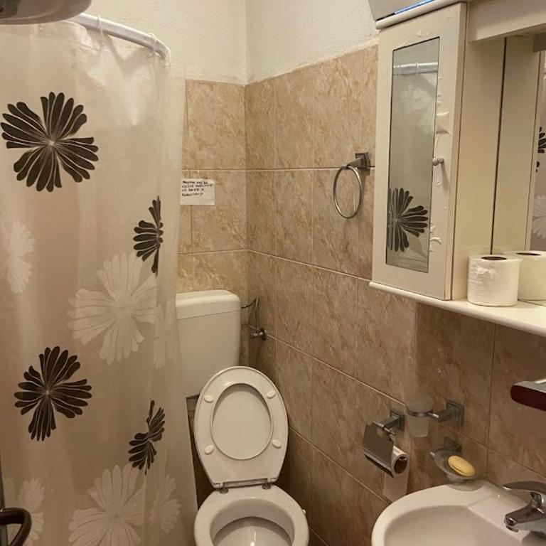Vila Danica - Apartman sa 1 Spavaćom Sobom - 10