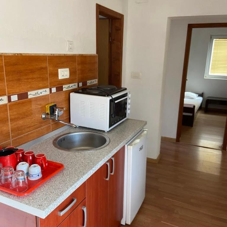 Vila Danica - Apartman sa 3 Spavaće Sobe - 13