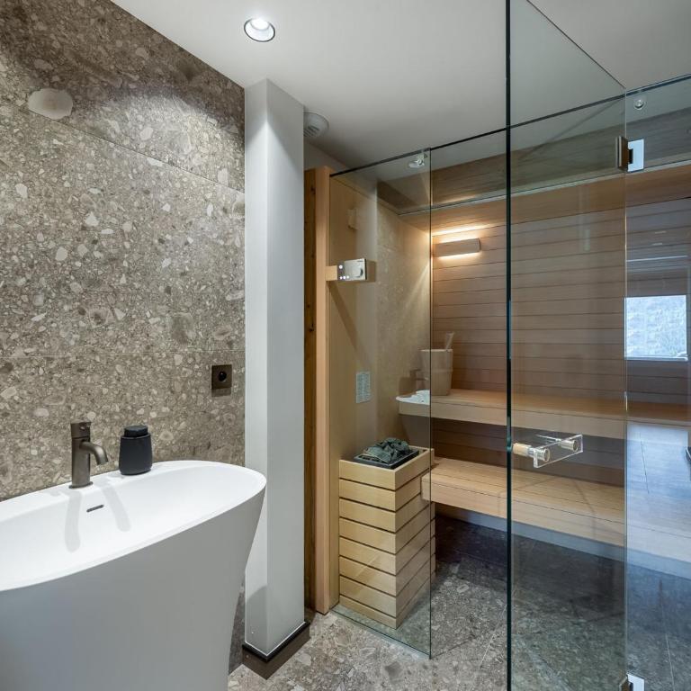 Penthouse exceptionnel avec jacuzzi, sauna, skis aux pieds, animaux admis - FR-1-565-76 - Appartement - 17