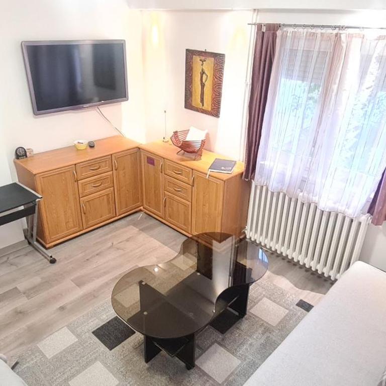 Private swimming pool sweet dreams - Apartman sa 1 Spavaćom Sobom - 9