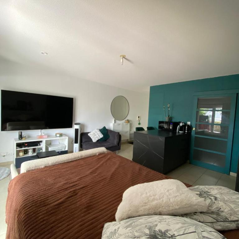 Charmant studio avec jacuzzi - One-Bedroom Apartment - 2