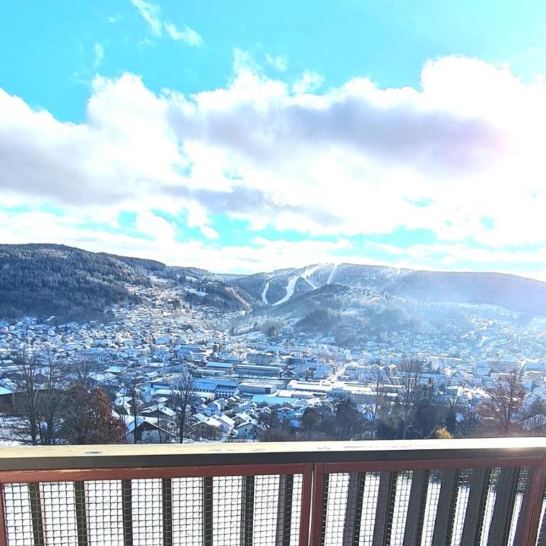 Gérardmer vacances - terrasse - calme - nature - belle vue et garage - Studio - Vue sur Montagne - 19