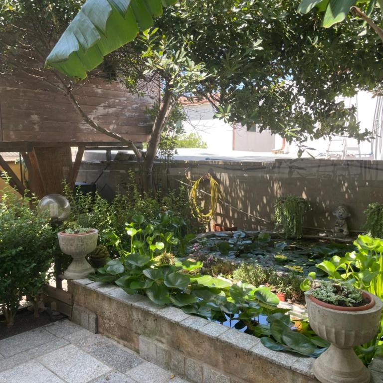 La casa di Mannazzotta 1 - Double Room with Private Bathroom - 10