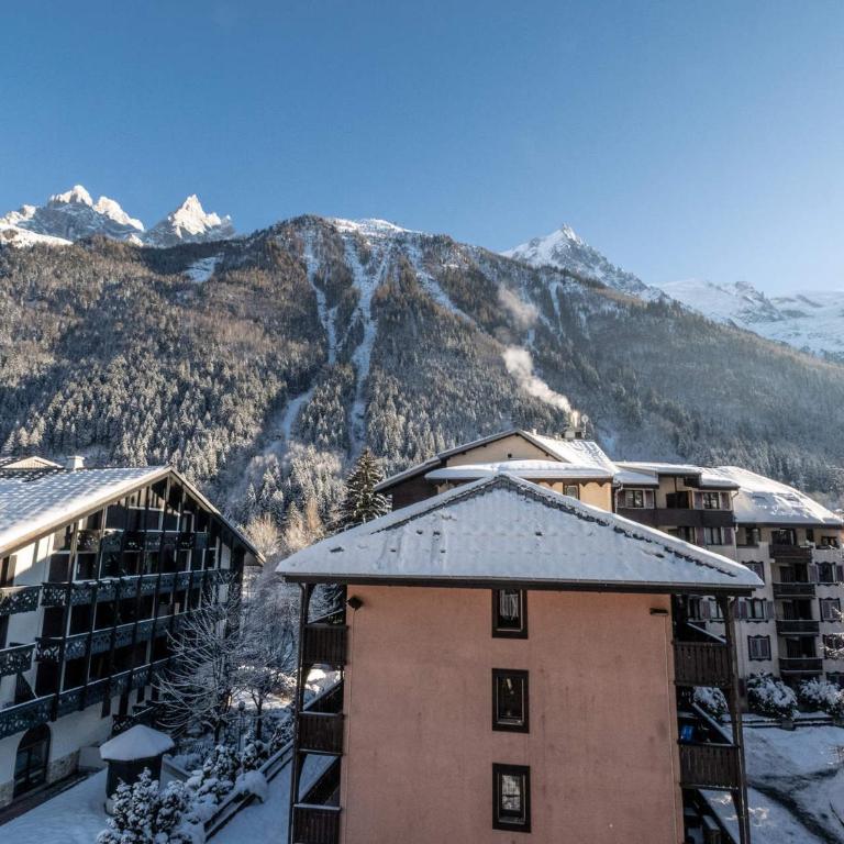 Charmant appartement Chamonix avec parking et Wi-Fi, 4 personnes - Appartement 1 Chambre - 11