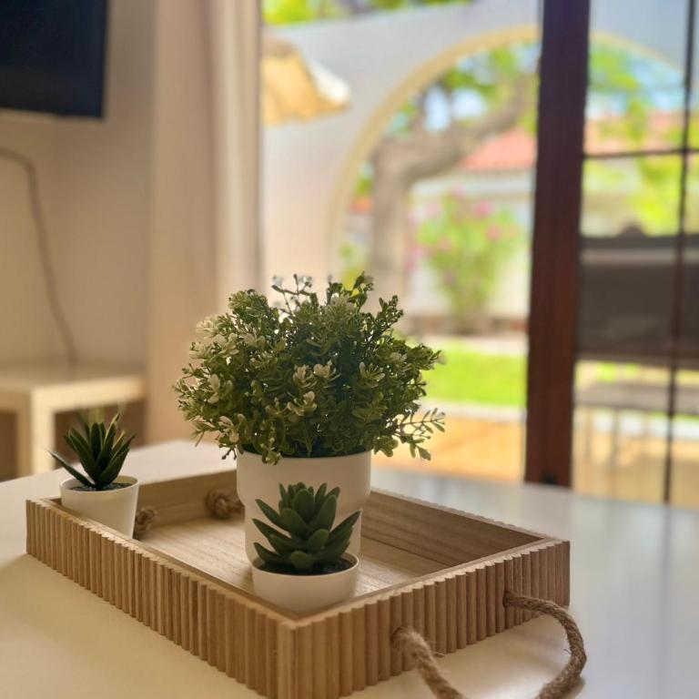Bungalow Parque Golf by SunHousesCanarias - Apartamento de 1 dormitorio - 19