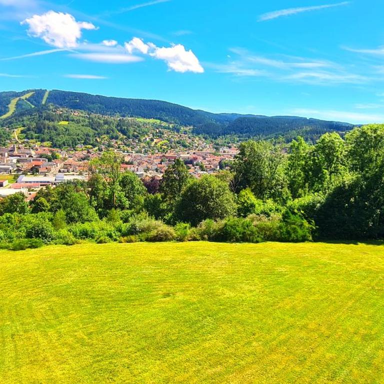 Gérardmer vacances - terrasse - calme - nature - belle vue et garage - Studio - Vue sur Montagne - 16