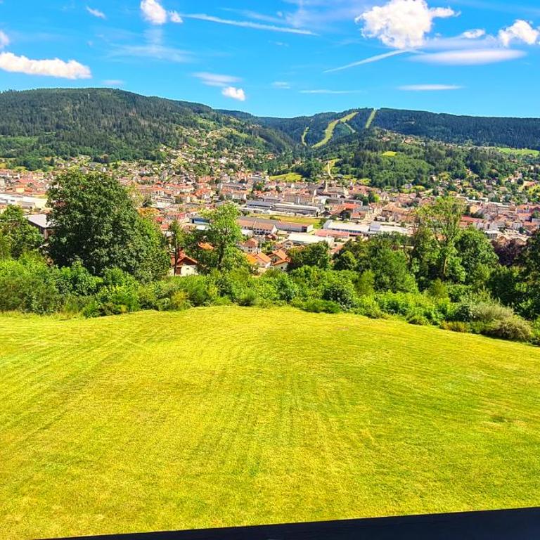 Gérardmer vacances - terrasse - calme - nature - belle vue et garage - Studio - Vue sur Montagne - 3