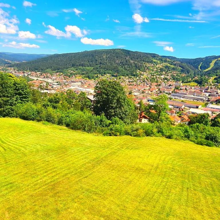 Gérardmer vacances - terrasse - calme - nature - belle vue et garage - Studio - Vue sur Montagne - 9