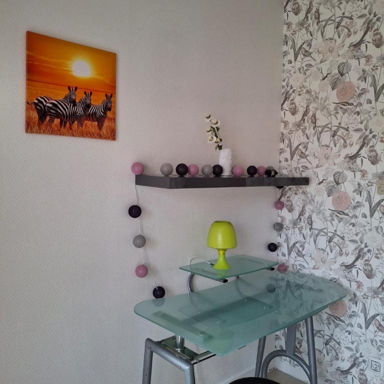 Metz Port Saint Marcel - Appartement - 16