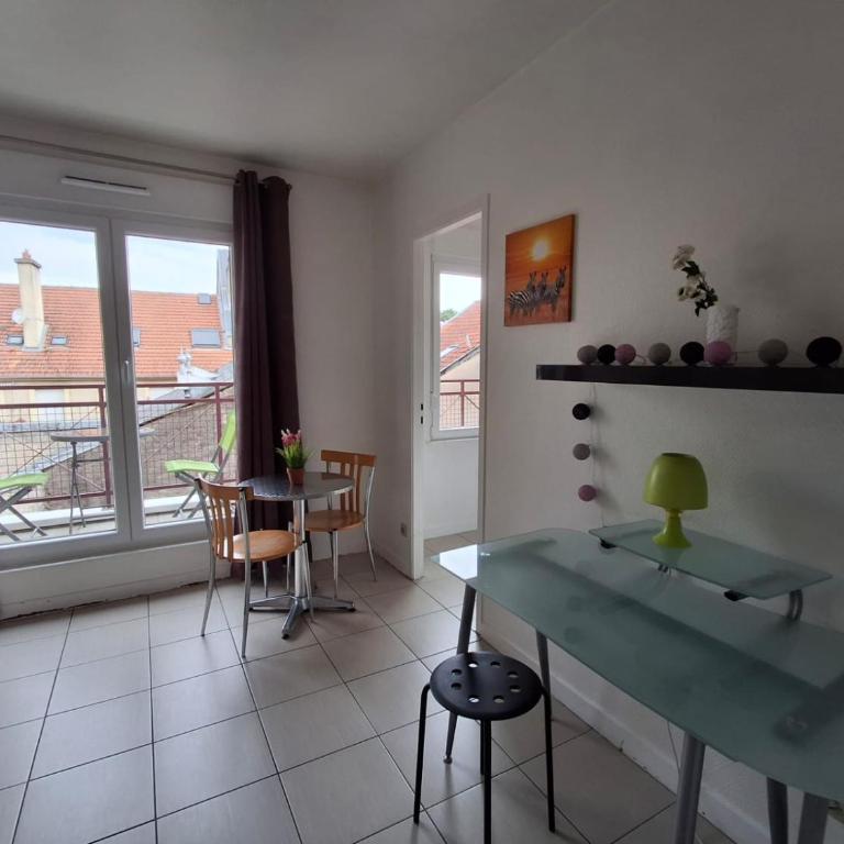 Metz Port Saint Marcel - Appartement - 14