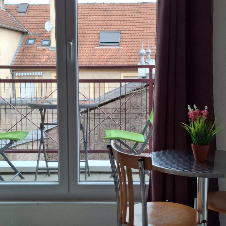 Metz Port Saint Marcel - Appartement - 18
