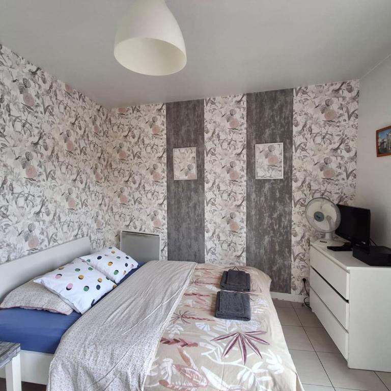 Metz Port Saint Marcel - Appartement - 20