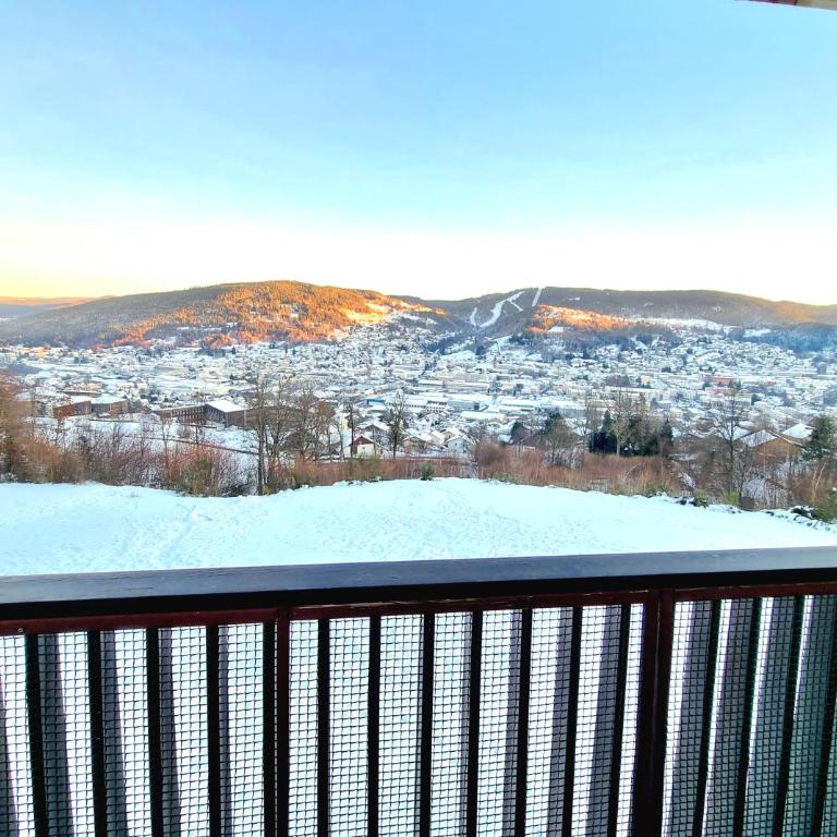 Gérardmer vacances - terrasse - calme - nature - belle vue et garage - Studio - Vue sur Montagne - 20