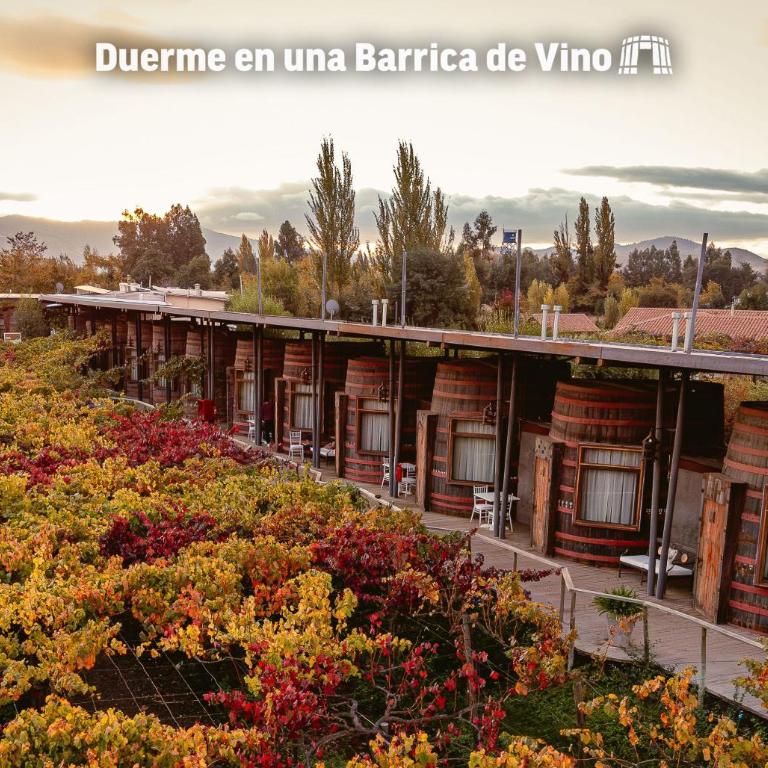 Cava Colchagua Hotel Boutique - Habitación Doble Premium - 23