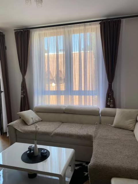 Apartman Mišić Zlatibor - Apartman sa 1 Spavaćom Sobom - 50