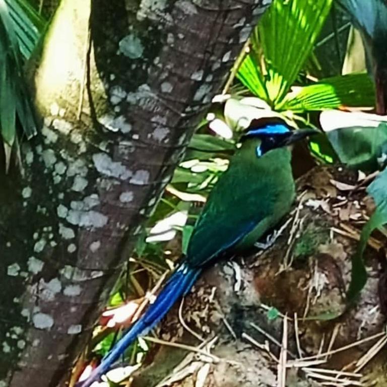 Aparta Hotel Natural Poblado San Lucas para 5H 114 - Apartamento de 2 dormitorios - 29