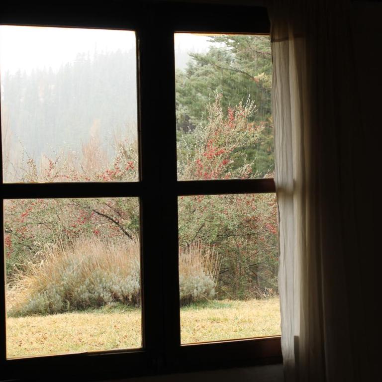 Cabaña Del Viento - Two-Bedroom House - 19