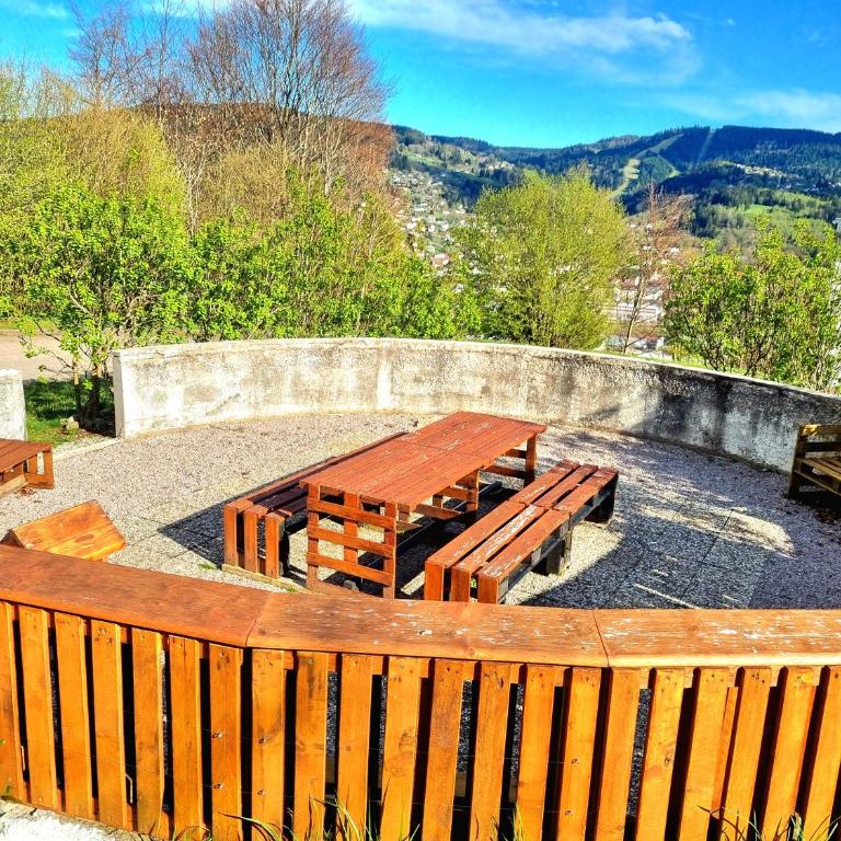 Gérardmer vacances - terrasse - calme - nature - belle vue et garage - Studio - Vue sur Montagne - 13