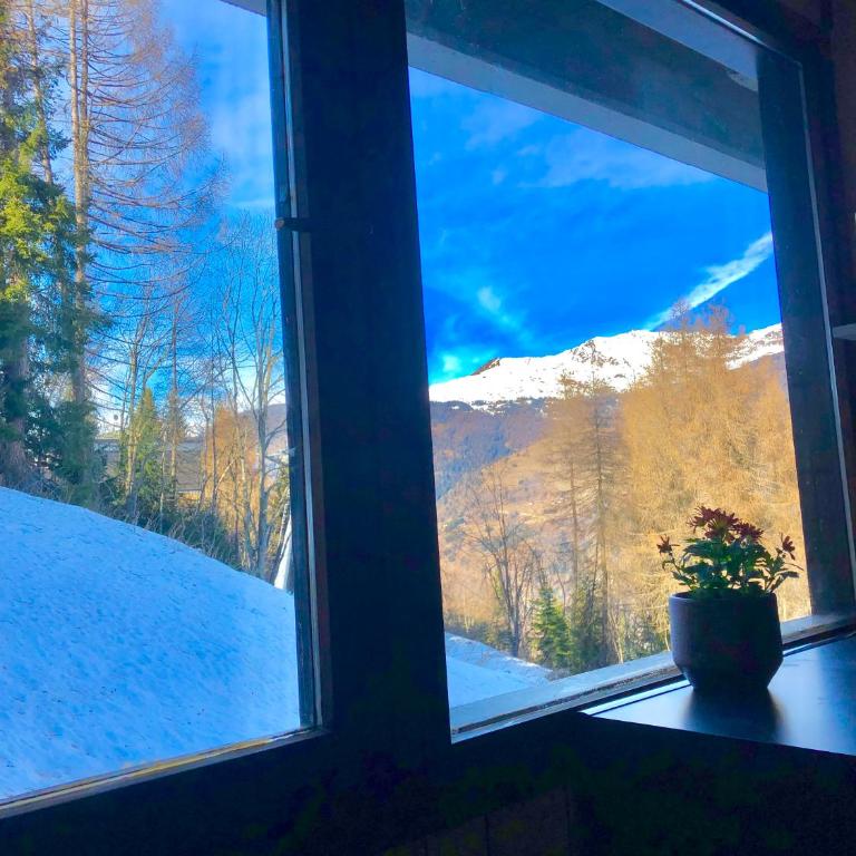 **NEW**Marilleva 1400**TRILOCALE sulle piste - Apartment mit 2 Schlafzimmern - 13