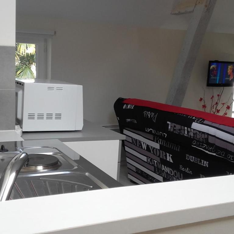 Appartement tout confort dans petit jardin calme - Appartement 1 Chambre - 6