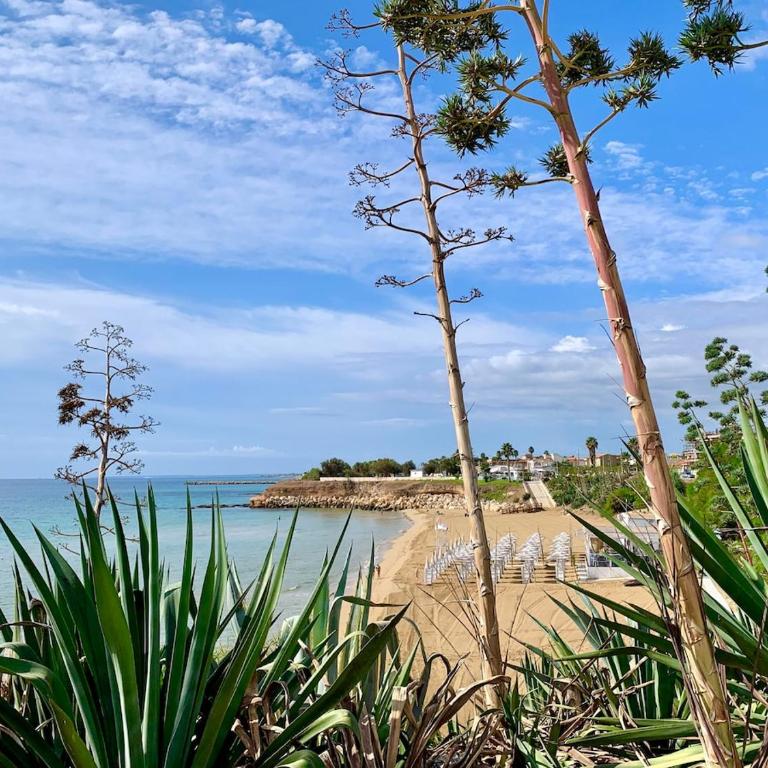 Incantevole villa con piscina e giardino a poca distanza dalle spiagge piu belle - Casa Vacanze - 48