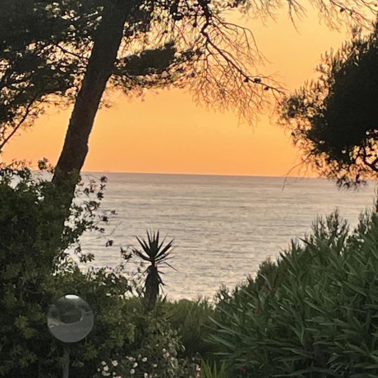 2-room apartment with garden in Sanary-sur-Mer, Beaucours - Appartement 1 Chambre - 7