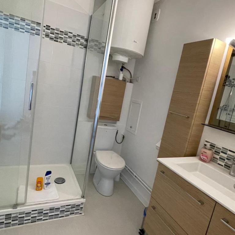 Première ligne - Vue mer exceptionnelle - Accès direct plage - Grand balcon - Parking privatif clos - Tout à pieds - Appartamento con 1 Camera da Letto e Vista Oceano - 9