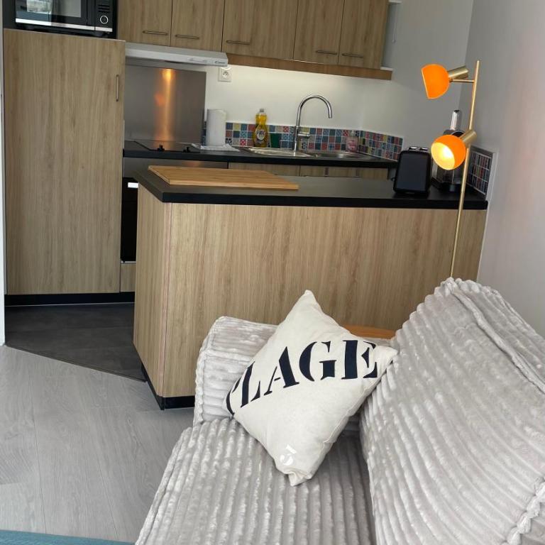 Première ligne - Vue mer exceptionnelle - Accès direct plage - Grand balcon - Parking privatif clos - Tout à pieds - Appartamento con 1 Camera da Letto e Vista Oceano - 10