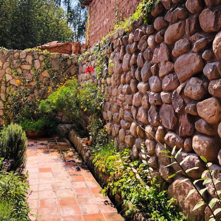 Io Wasi - Chalet - 2