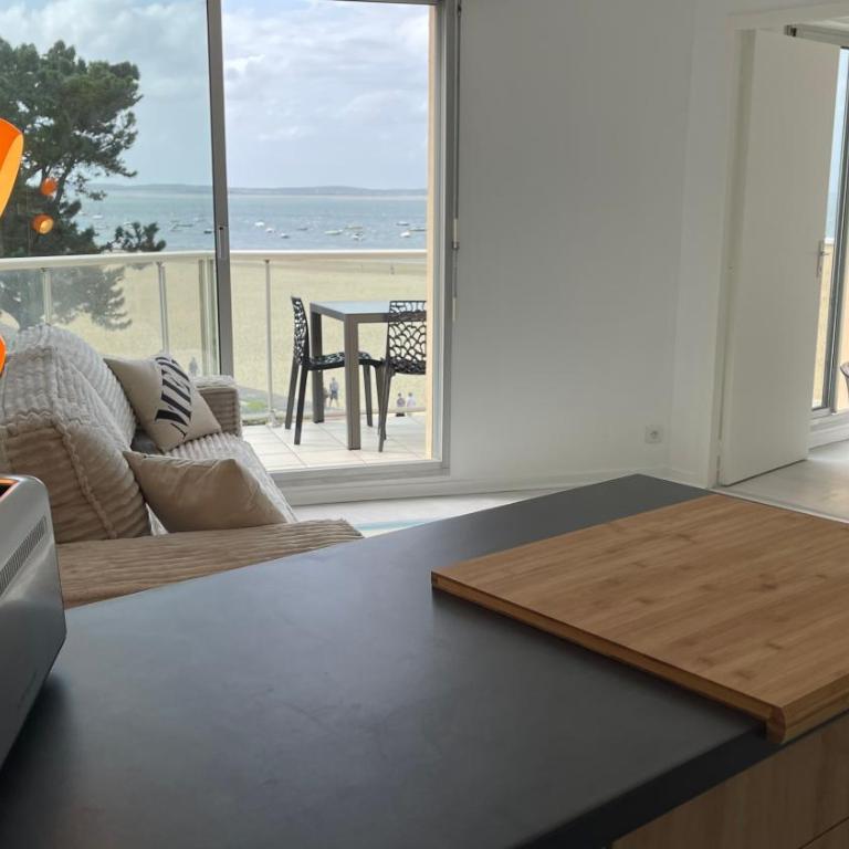 Première ligne - Vue mer exceptionnelle - Accès direct plage - Grand balcon - Parking privatif clos - Tout à pieds - Appartamento con 1 Camera da Letto e Vista Oceano - 7
