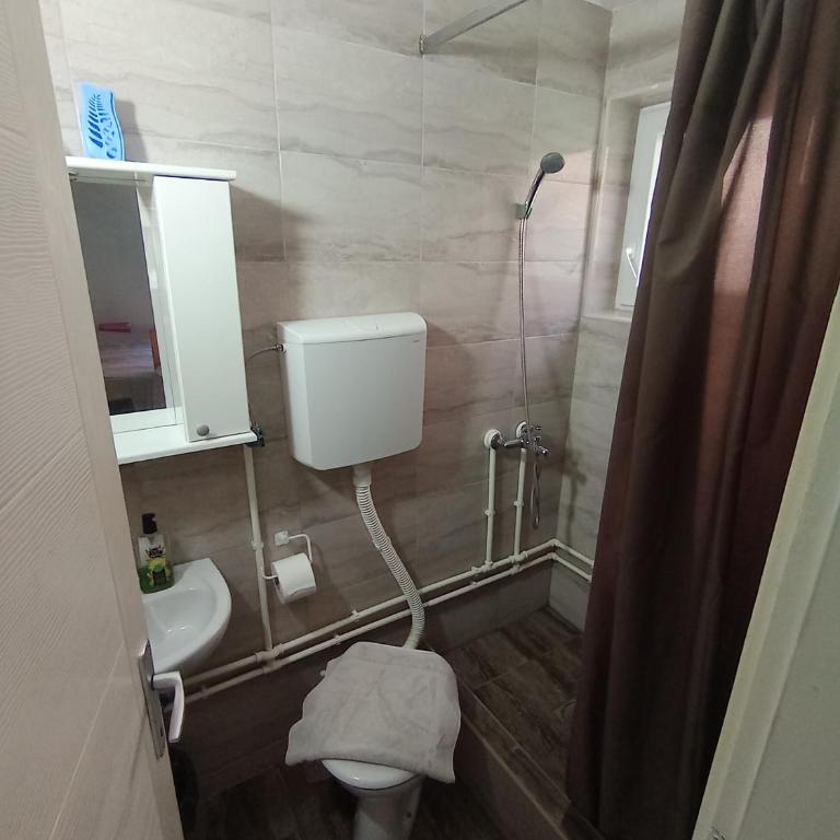 Smeštaj Golubica 1 - Apartman sa 1 Spavaćom Sobom - 2
