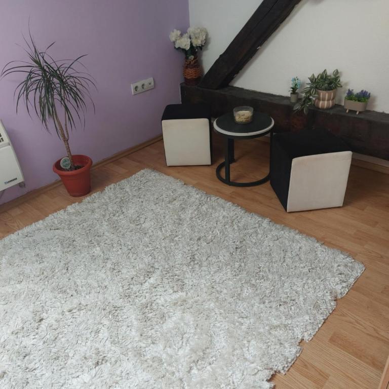 Private room in aparthmanELY - Apartman sa 1 Spavaćom Sobom - 6