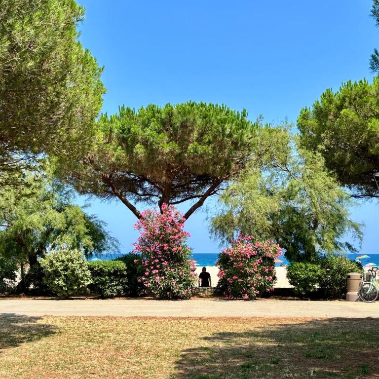 Studio avec jardin front de mer - Appartement 1 Chambre - 1