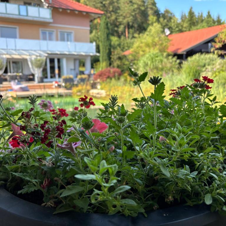 Ferienwohnung Julia - Ruhelage mit Panoramablick - Appartamento con 1 Camera da Letto - 29